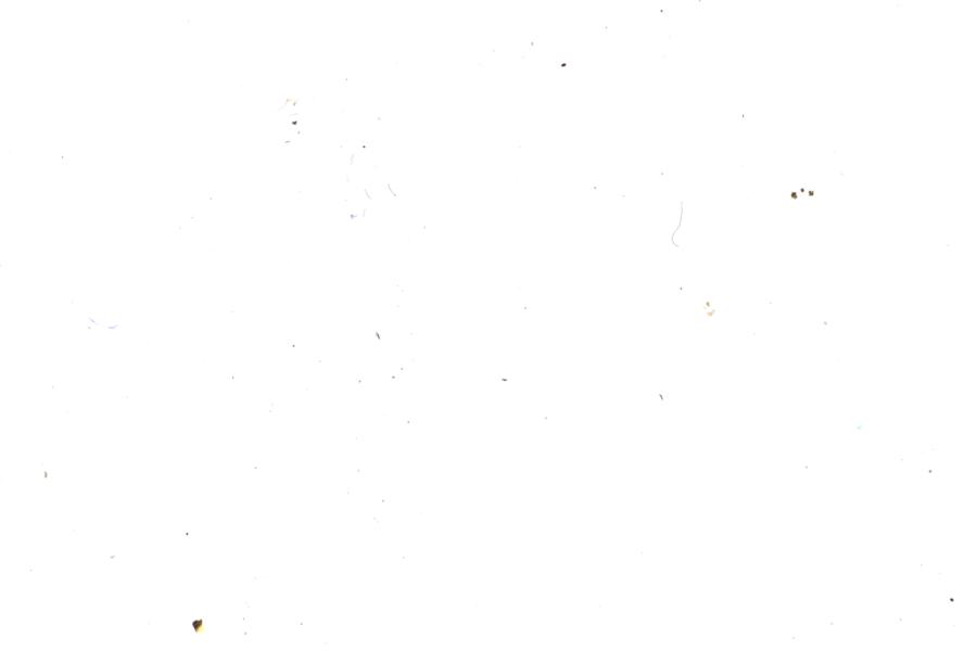 Image 28
